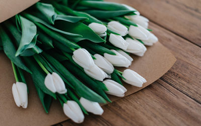 Easter – A Reason to Rejoice