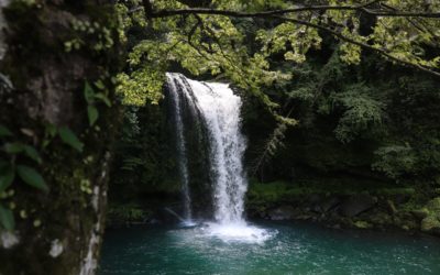 Waterfallen
