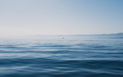 A Sea of Peace