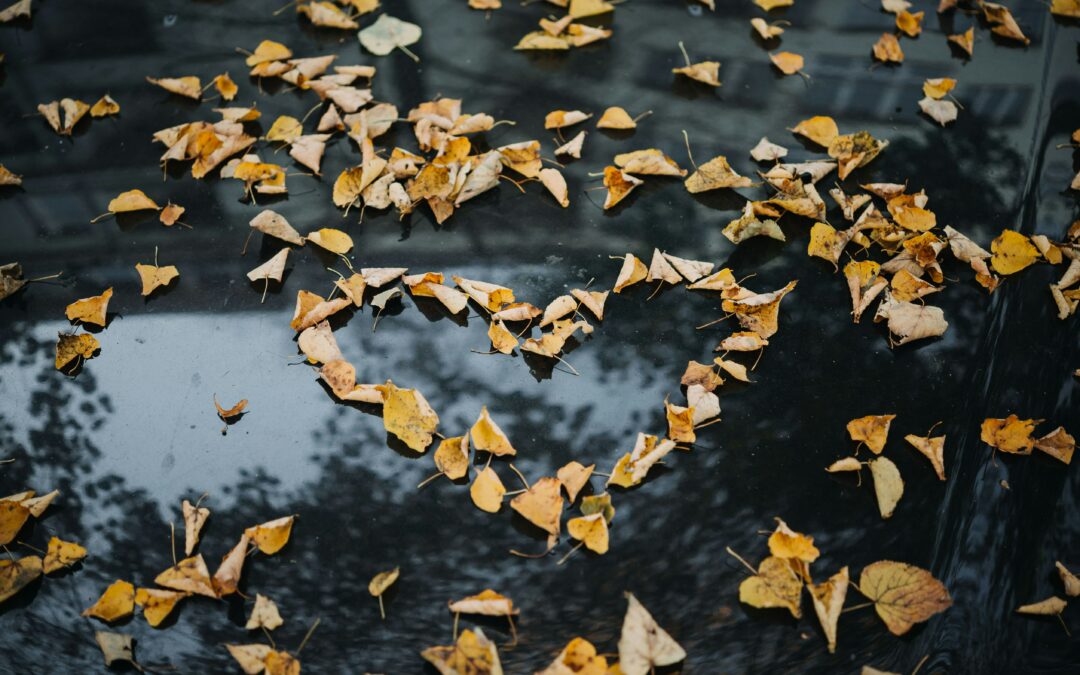 The Heart of the Matter
