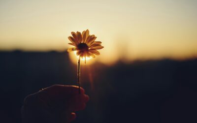 Embracing Fresh Start