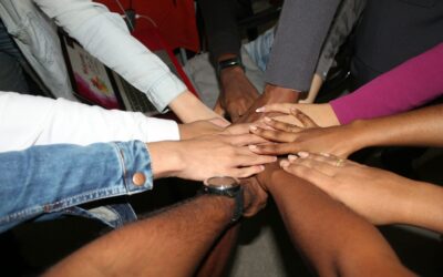 Build Your Faith: Discovering Your Unique Role in God’s Church