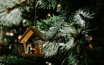 Discovering God’s Presence: Embracing the Promise of Emmanuel