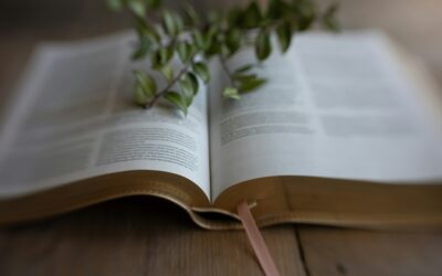 Finish Strong: Living with Self-Awareness for a Life Without Regrets